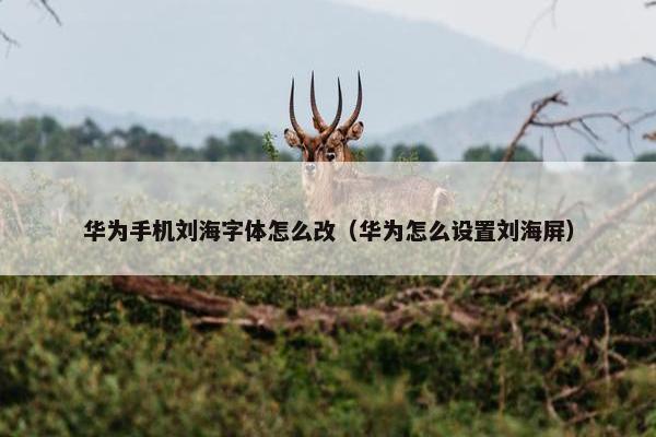华为手机刘海字体怎么改（华为怎么设置刘海屏）