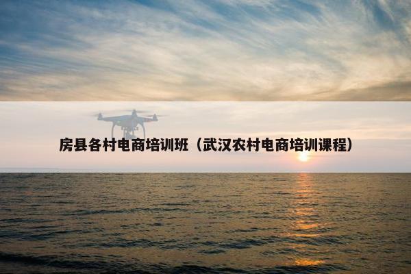 房县各村电商培训班（武汉农村电商培训课程）