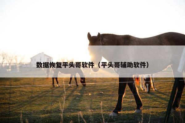 数据恢复平头哥软件（平头哥辅助软件）