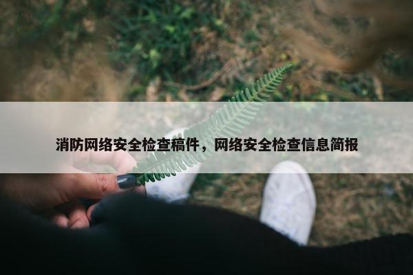 消防网络安全检查稿件，网络安全检查信息简报