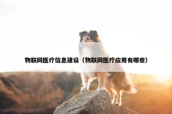 物联网医疗信息建设（物联网医疗应用有哪些）