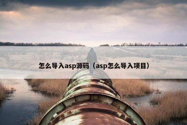 怎么导入asp源码（asp怎么导入项目）