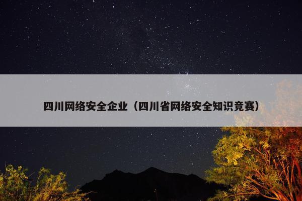 四川网络安全企业（四川省网络安全知识竞赛）
