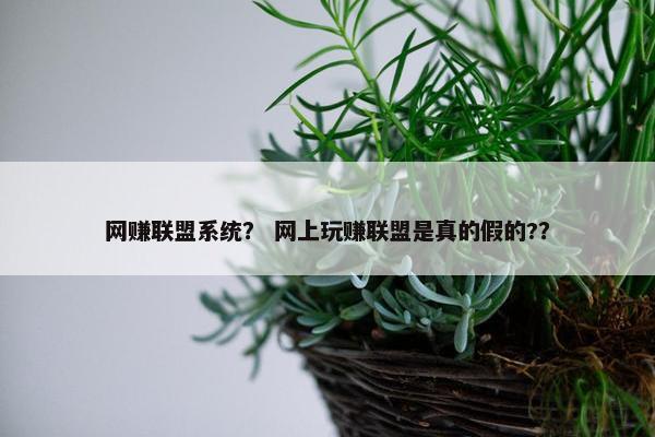 网赚联盟系统？ 网上玩赚联盟是真的假的?？