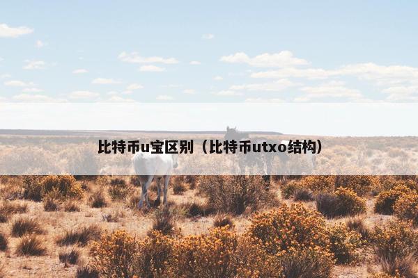 比特币u宝区别（比特币utxo结构）