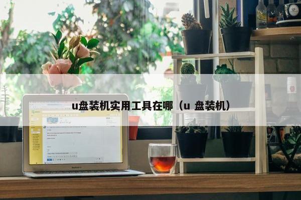 u盘装机实用工具在哪（u 盘装机）