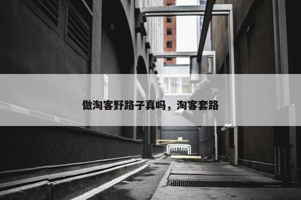 做淘客野路子真吗，淘客套路