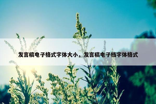 发言稿电子格式字体大小，发言稿电子档字体格式