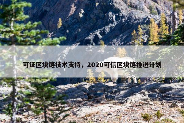 可证区块链技术支持，2020可信区块链推进计划