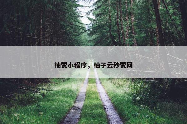 柚赞小程序，柚子云秒赞网