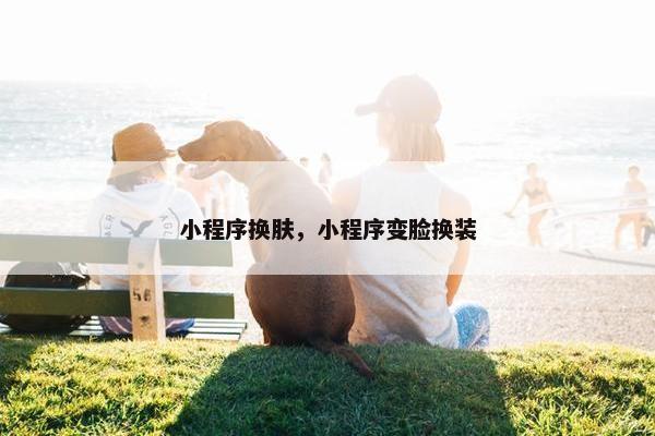 小程序换肤，小程序变脸换装