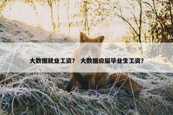 大数据就业工资？ 大数据应届毕业生工资？