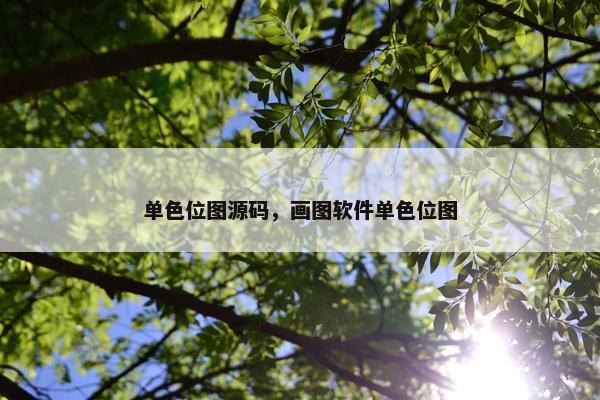 单色位图源码，画图软件单色位图