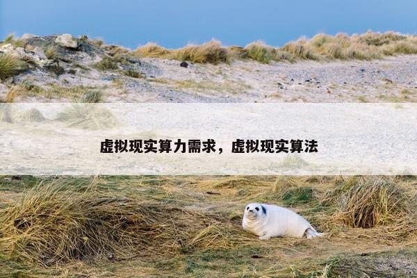 虚拟现实算力需求，虚拟现实算法