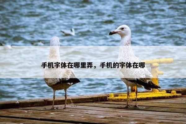 手机字体在哪里弄，手机的字体在哪