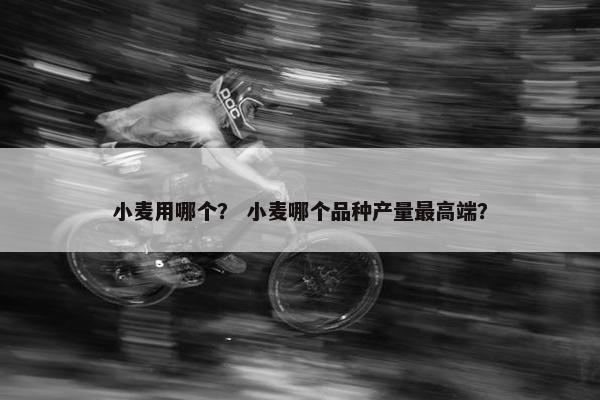 小麦用哪个？ 小麦哪个品种产量最高端？