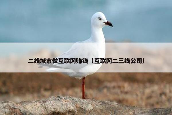二线城市做互联网赚钱（互联网二三线公司）