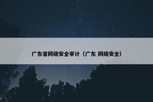 广东省网络安全审计（广东 网络安全）