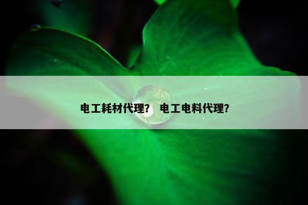 电工耗材代理？ 电工电料代理？