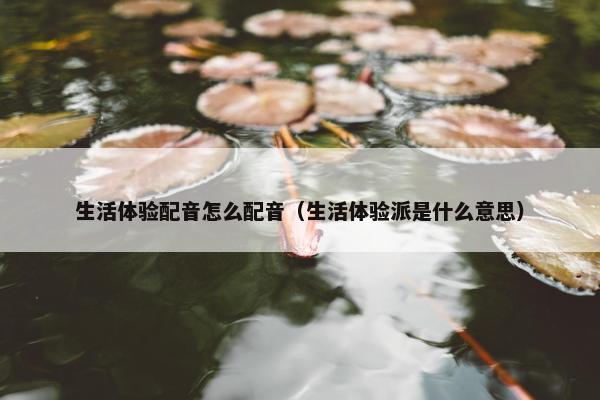 生活体验配音怎么配音（生活体验派是什么意思）