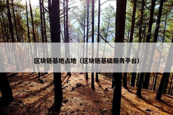 区块链基地占地（区块链基础服务平台）