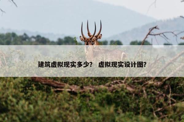 建筑虚拟现实多少？ 虚拟现实设计图？