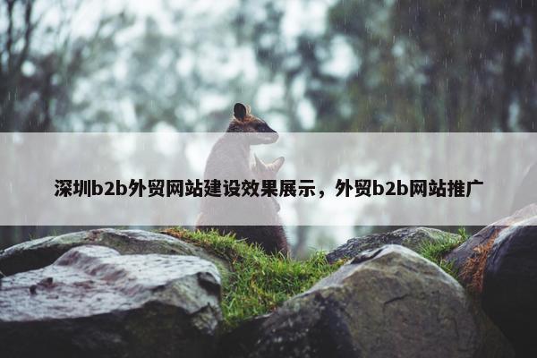 深圳b2b外贸网站建设效果展示，外贸b2b网站推广