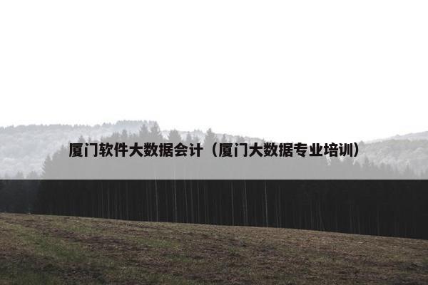 厦门软件大数据会计（厦门大数据专业培训）