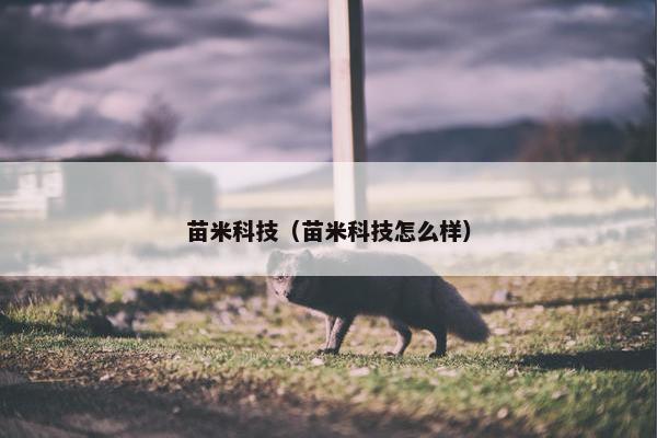 苗米科技（苗米科技怎么样）