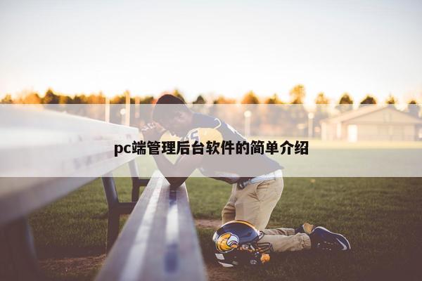 pc端管理后台软件的简单介绍