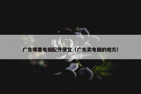广东哪里电脑配件便宜（广东卖电脑的地方）