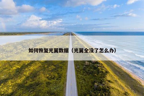 如何恢复光翼数据（光翼全没了怎么办）