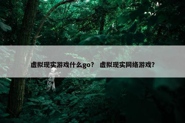 虚拟现实游戏什么go？ 虚拟现实网络游戏？