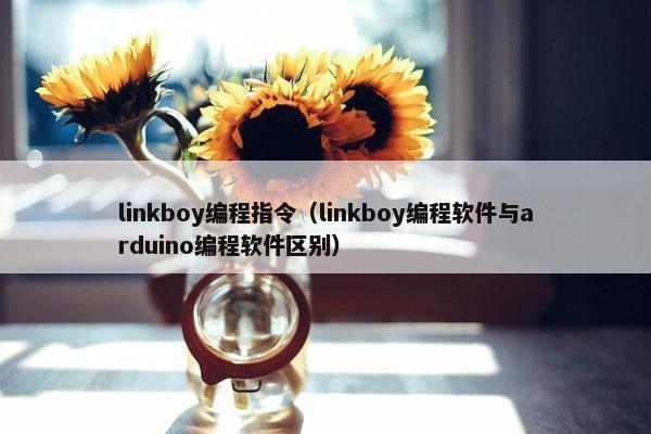 linkboy编程指令（linkboy编程软件与arduino编程软件区别）
