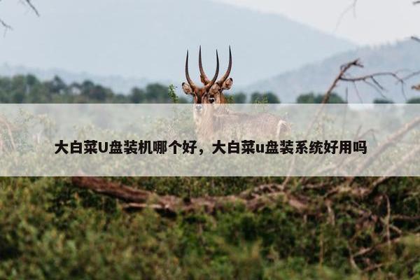 大白菜U盘装机哪个好，大白菜u盘装系统好用吗