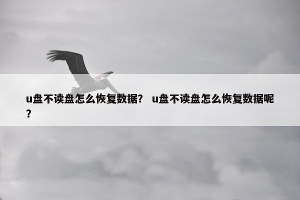 u盘不读盘怎么恢复数据？ u盘不读盘怎么恢复数据呢？
