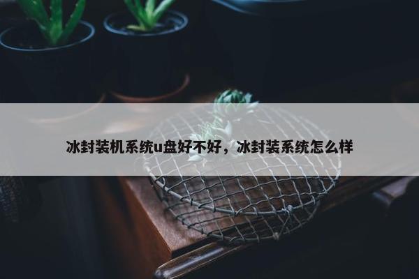 冰封装机系统u盘好不好，冰封装系统怎么样