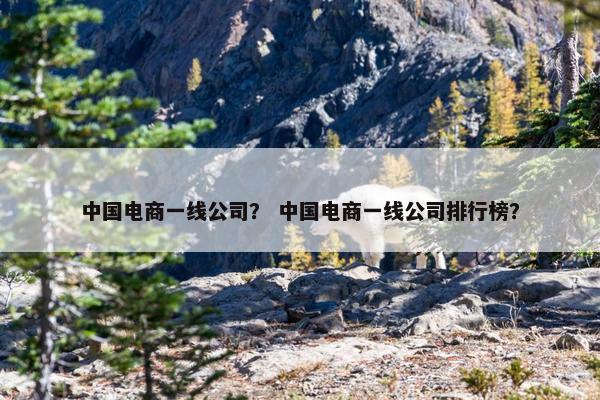 中国电商一线公司？ 中国电商一线公司排行榜？