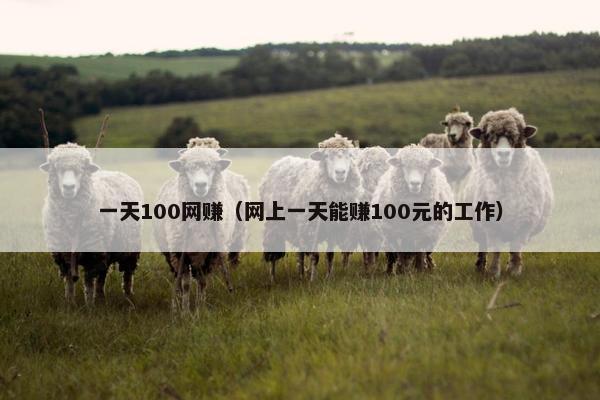 一天100网赚（网上一天能赚100元的工作）