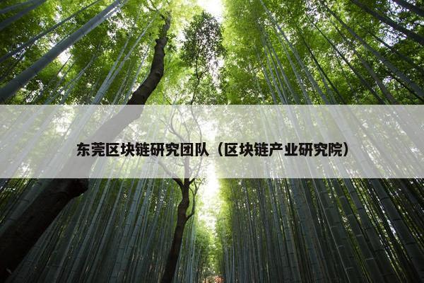 东莞区块链研究团队（区块链产业研究院）