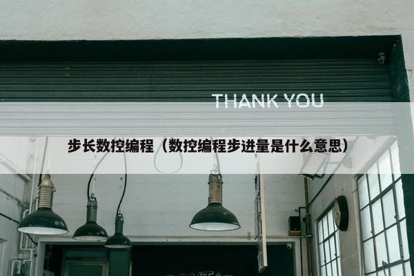 步长数控编程（数控编程步进量是什么意思）