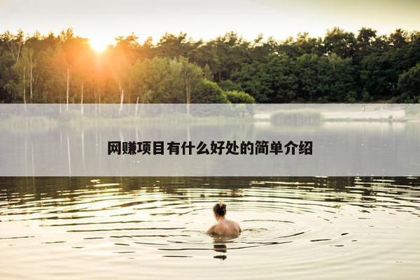 网赚项目有什么好处的简单介绍