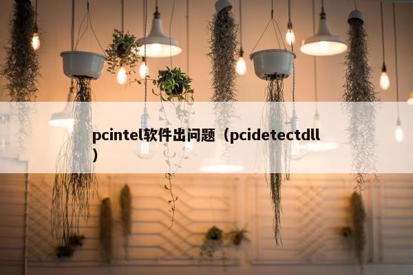 pcintel软件出问题（pcidetectdll）