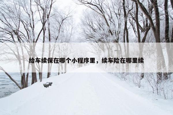 给车续保在哪个小程序里，续车险在哪里续