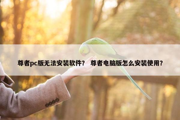 尊者pc版无法安装软件？ 尊者电脑版怎么安装使用？