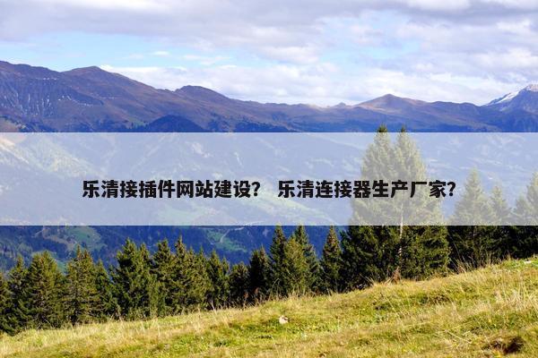 乐清接插件网站建设？ 乐清连接器生产厂家？