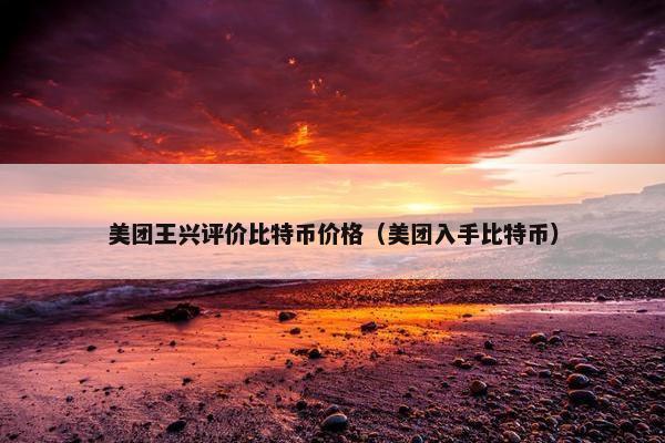 美团王兴评价比特币价格（美团入手比特币）