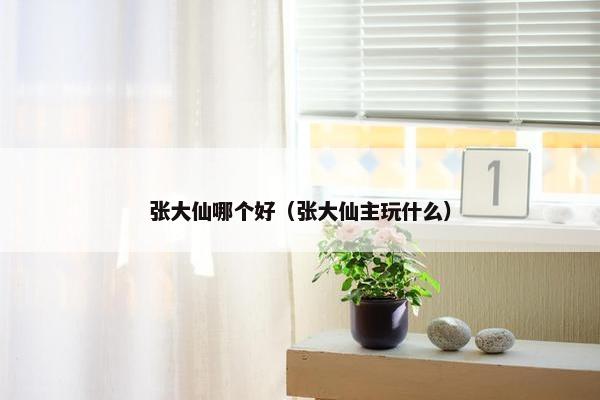 张大仙哪个好（张大仙主玩什么）