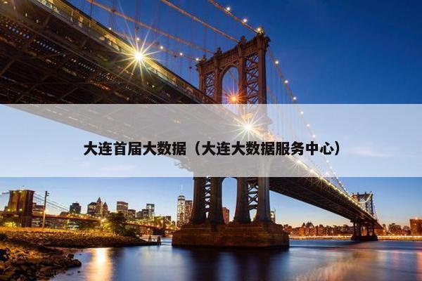 大连首届大数据（大连大数据服务中心）