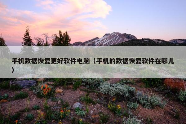 手机数据恢复更好软件电脑（手机的数据恢复软件在哪儿）